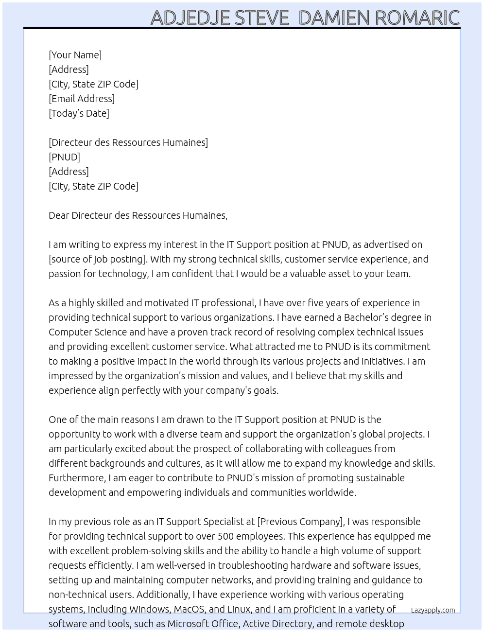 IT Support At PNUD Cover Letter