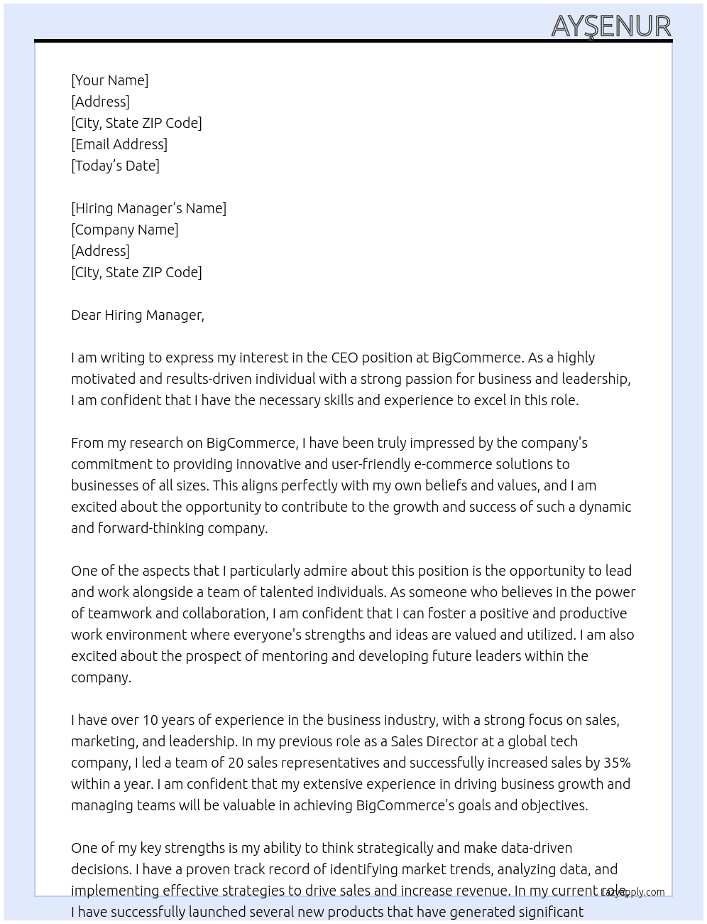 CEO At bigcommerce Cover Letter