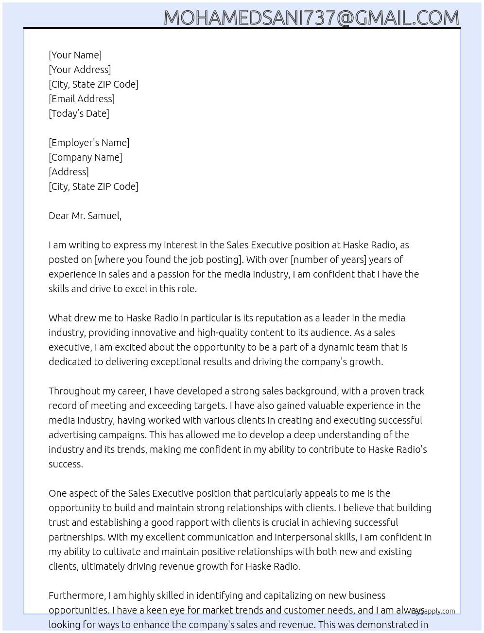 sales executive At haske radio Cover Letter