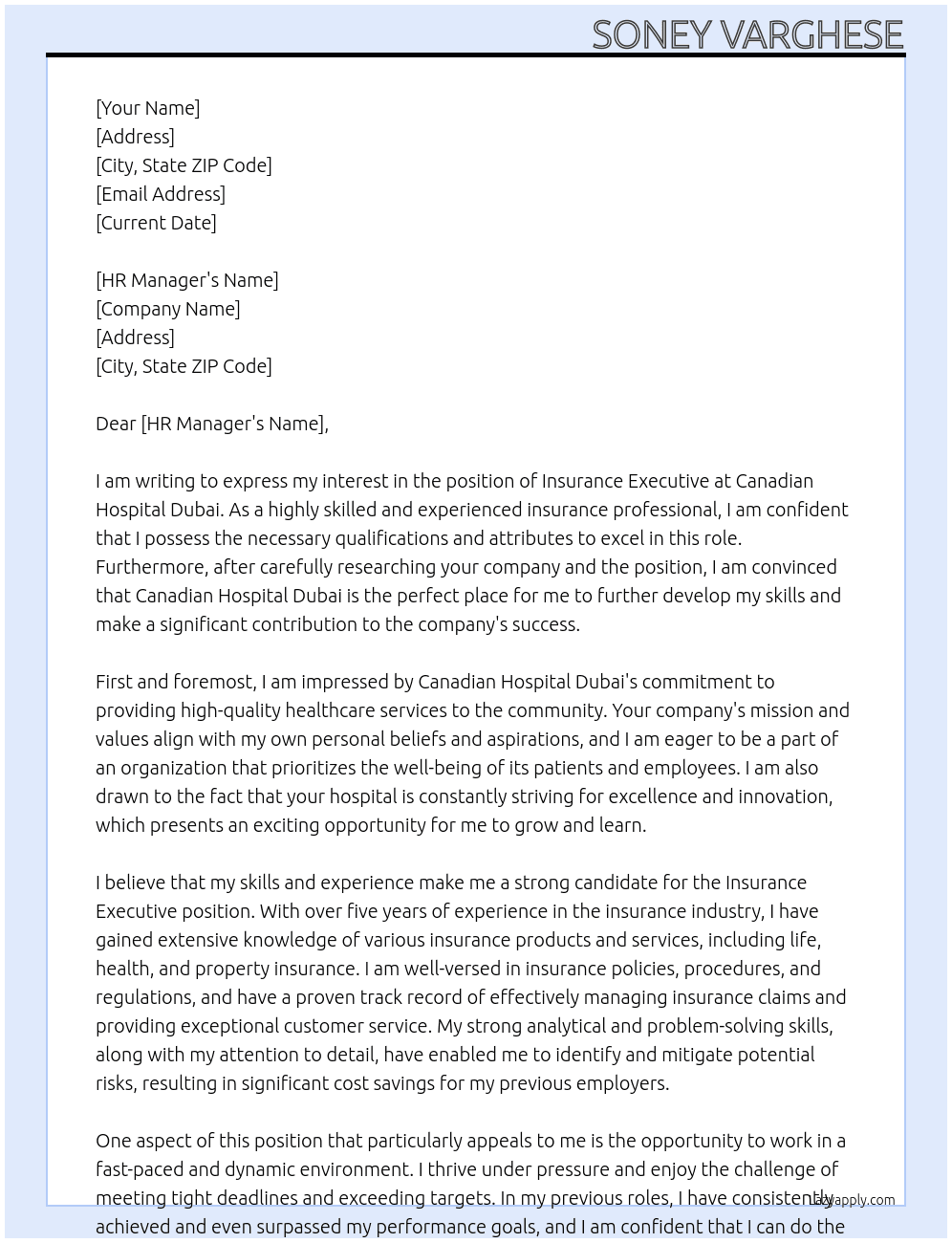 INSURANCE EXECUTIVE  At canadian hospital dubai Cover Letter