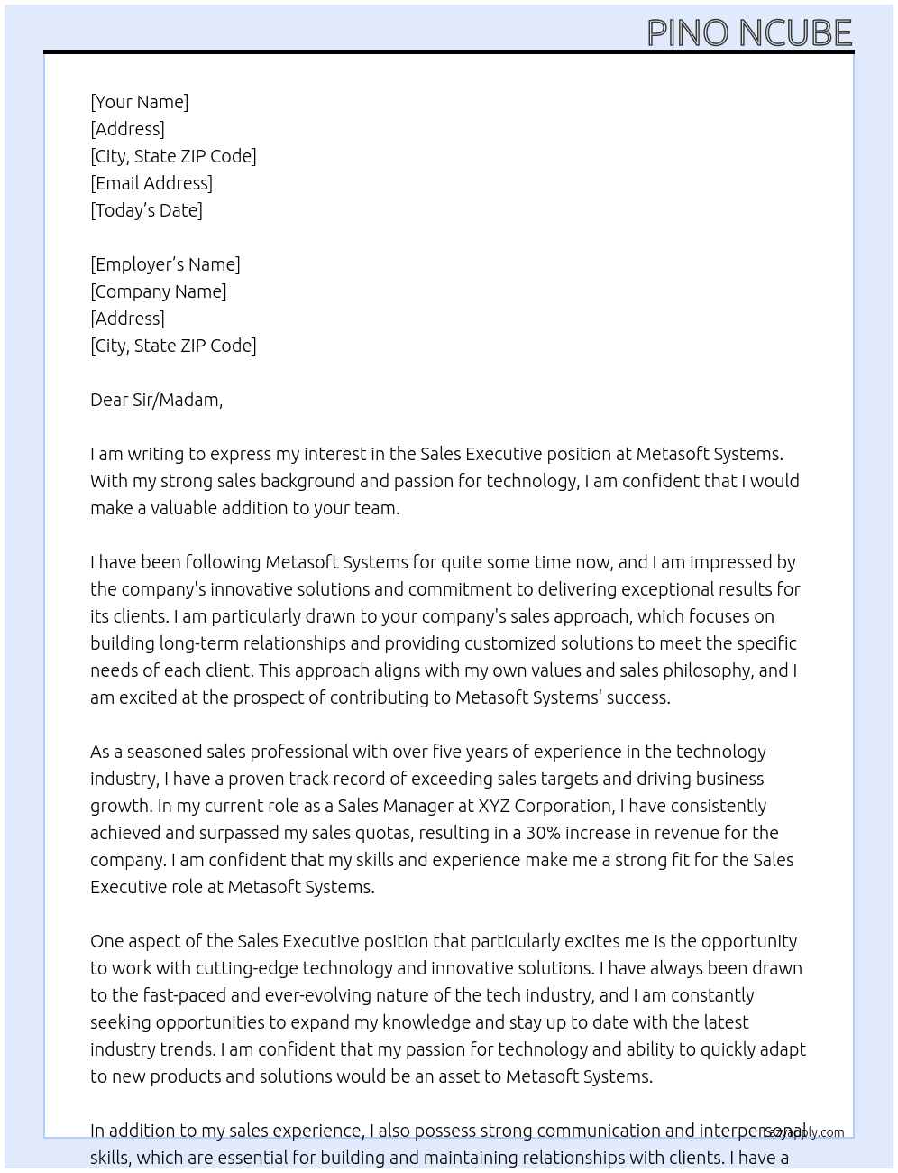 Sales executive  At Metasoft Systems  Cover Letter
