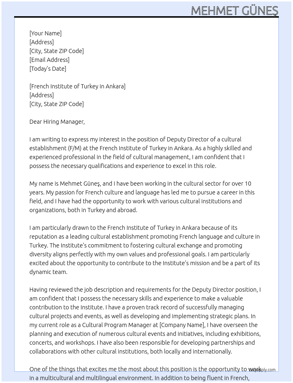 Application for the position: Deputy Director of a cultural establishment (F/M) - French Institute of Turkey in Ankara At French Institute of Turkey in Ankara Cover Letter